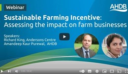Assessing the impact of the Sustainable Farming Incentive on farm businesses